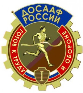 Пермь посетит глава ДОСААФ России