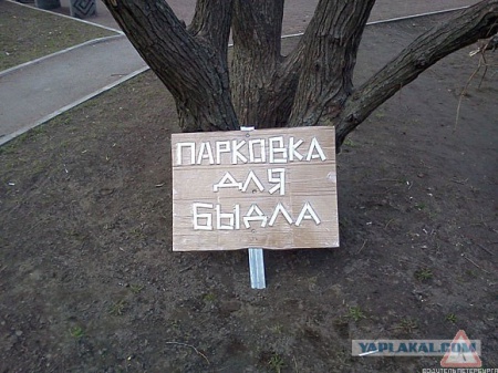 В Перми прошел рейд против парковок на газонах