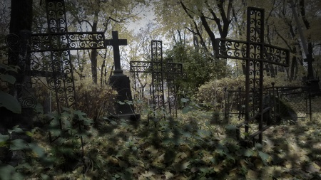 Многодетным Краснокамска выделили участки возле кладбища, федеральной трассы и в промзоне