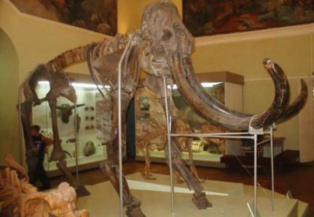 В Перми пройдет - Ночь музеев 15 и 16 мая