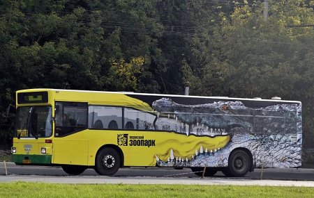 В Перми обновили городские маршруты, 119 новых автобусов