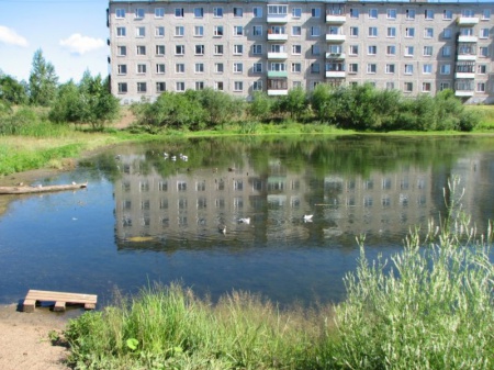 В Орджоникидзевском районе обустраивают место отдыха для пермяков