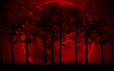 Утром 28 сентября пермяки смогут увидеть огромную кровавую Луну