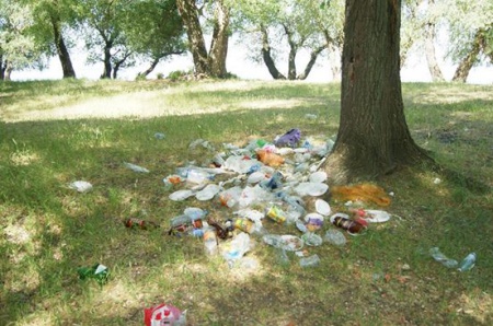 В Перми лес защитят от складирования мусора