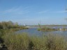 Весенний разлив устья р.Гайва