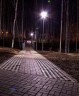 Ночью в парке Чехова